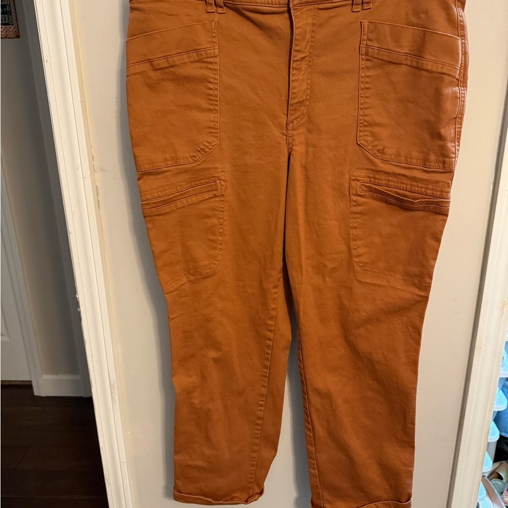 Democracy Rust Cargo Pants